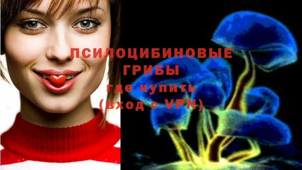 прущие крисы Покровск