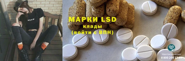 индика Краснотурьинск