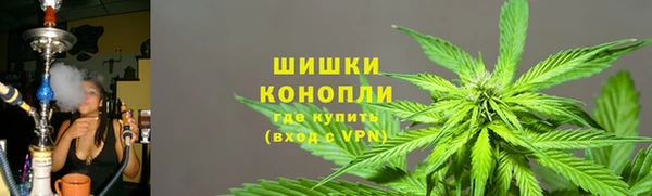 индика Краснотурьинск