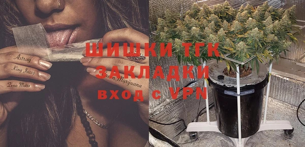 индика Краснотурьинск