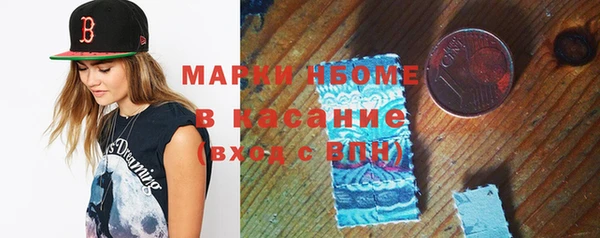 индика Краснотурьинск