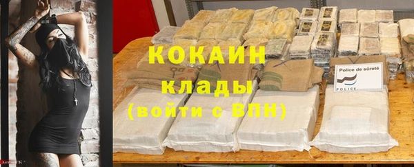 винт Краснослободск