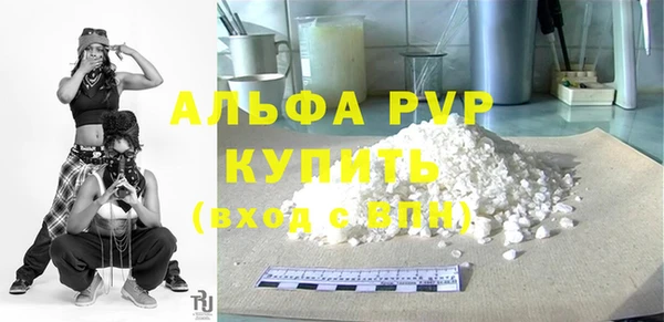 индика Краснотурьинск