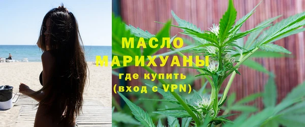 индика Краснотурьинск