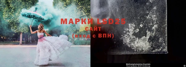 индика Краснотурьинск